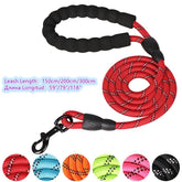 Reflective Nylon Dog Leash