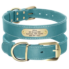 Custom Leather Dog Collar