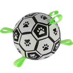 Interactive Pet Ball Toy