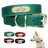 Custom Leather Dog Collar