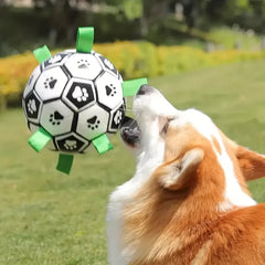 Interactive Pet Ball Toy