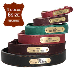 Custom Leather Dog Collar