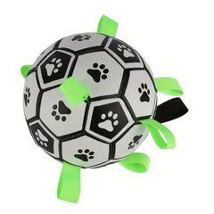 Interactive Pet Ball Toy