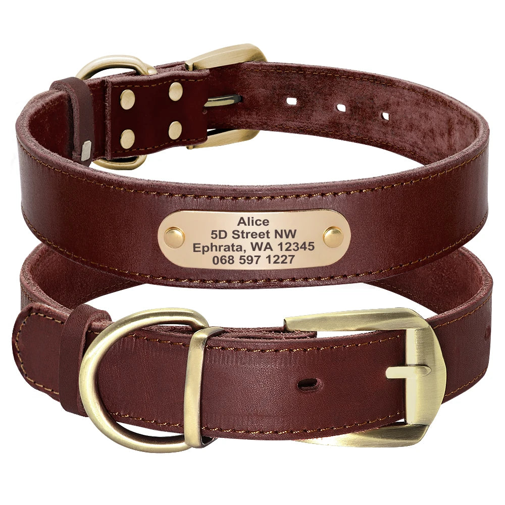 Custom Leather Dog Collar