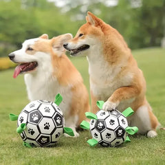 Interactive Pet Ball Toy