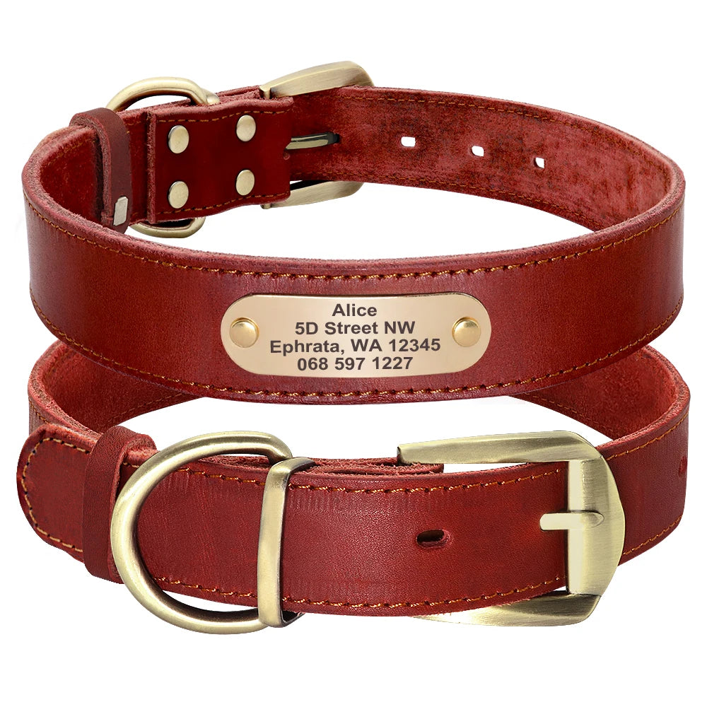 Custom Leather Dog Collar