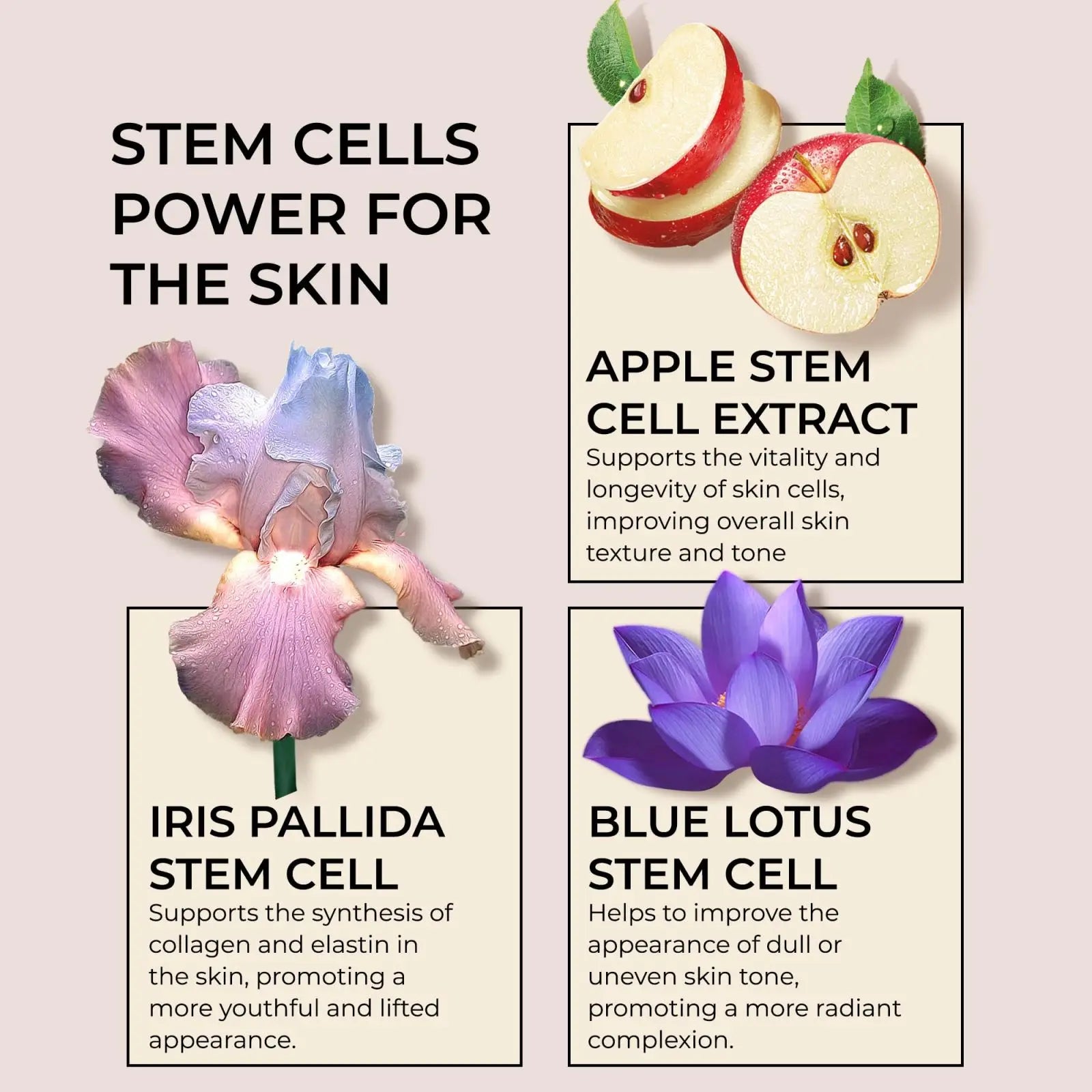 Collagen Face Moisturizer with Airless Pump