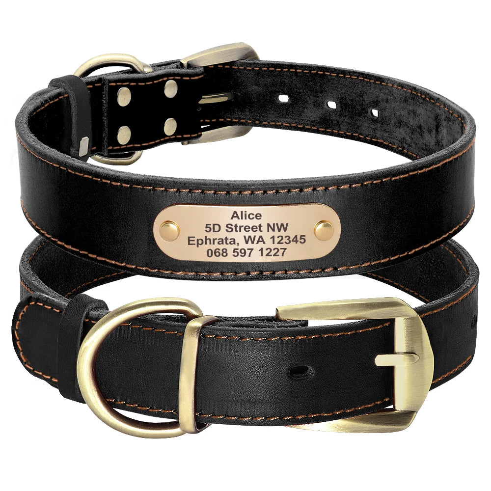 Custom Leather Dog Collar